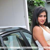 Haripriya New Photo Shoot - Pictures | Picture 115686